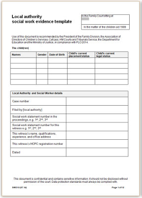SWE10 0714 Social Work Evidence Template - blank for use