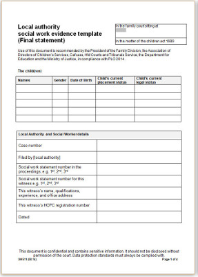 SWE11 Local authority social work final analysis blank template final (13/08/14)A